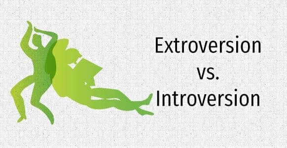 Extroversion vs. Introversion Profile